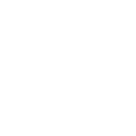 Pay Online Icon